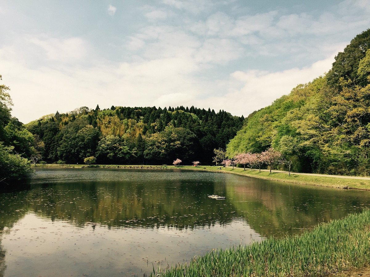 🌳 쇼와의 숲(쇼와노모리) 이미지 5